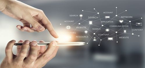 互联网营销与互联网销售 数字化时代商业的双引擎